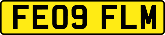 FE09FLM