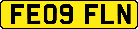 FE09FLN