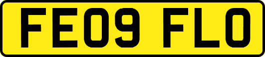 FE09FLO