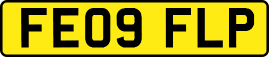 FE09FLP