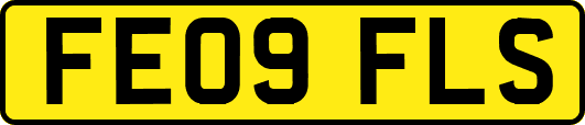 FE09FLS