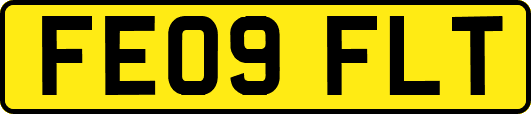 FE09FLT