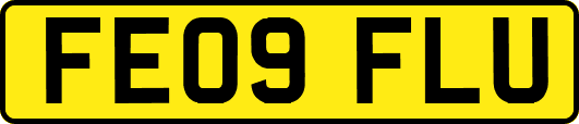 FE09FLU
