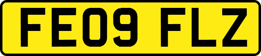 FE09FLZ