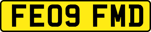 FE09FMD