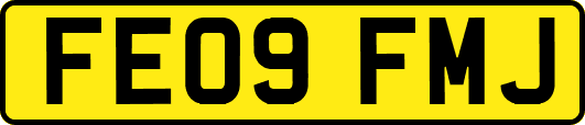 FE09FMJ
