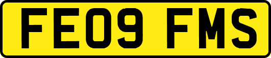 FE09FMS