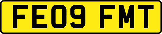 FE09FMT