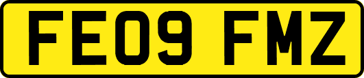 FE09FMZ