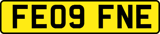 FE09FNE