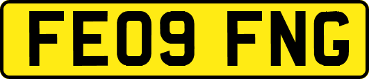 FE09FNG