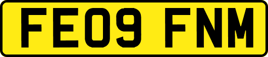 FE09FNM