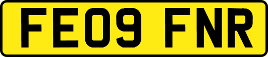 FE09FNR