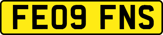 FE09FNS