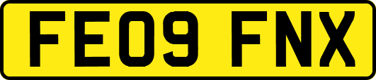 FE09FNX