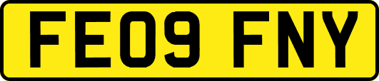 FE09FNY