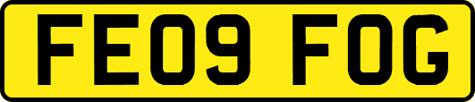 FE09FOG