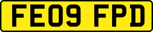 FE09FPD
