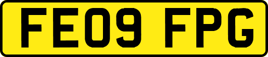 FE09FPG