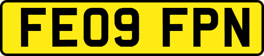 FE09FPN
