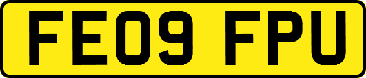 FE09FPU