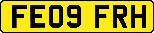 FE09FRH