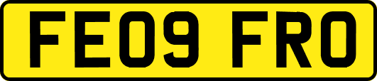 FE09FRO