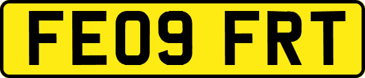 FE09FRT