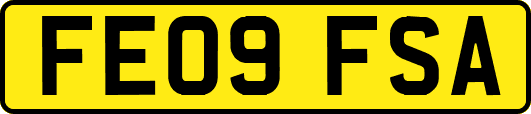 FE09FSA