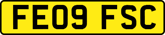 FE09FSC