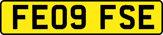 FE09FSE