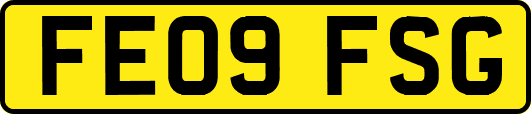 FE09FSG