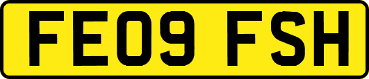 FE09FSH
