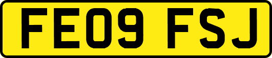 FE09FSJ
