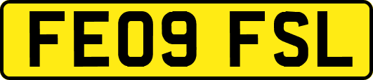 FE09FSL