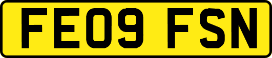 FE09FSN