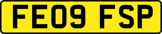 FE09FSP
