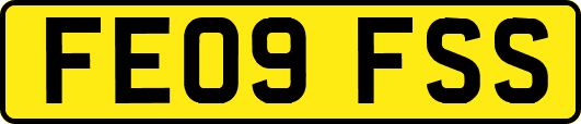 FE09FSS