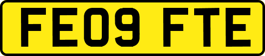FE09FTE