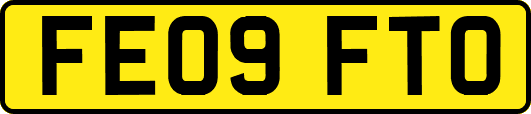 FE09FTO