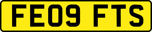 FE09FTS