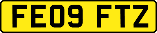 FE09FTZ