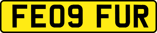 FE09FUR