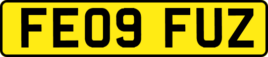FE09FUZ