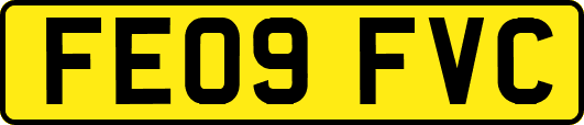 FE09FVC
