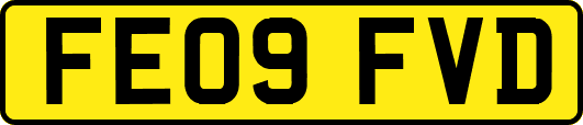 FE09FVD