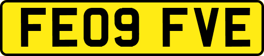 FE09FVE