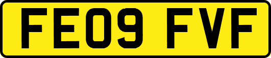 FE09FVF