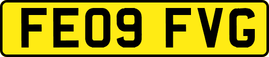 FE09FVG