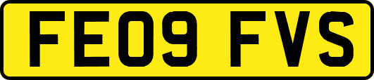 FE09FVS